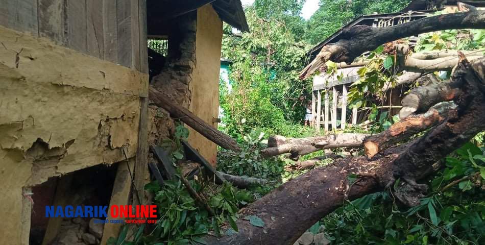 dovan ghar pahiro palpa 2.jpg