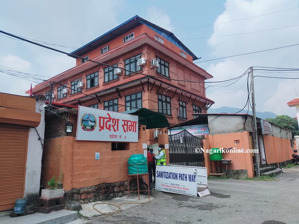 p5.jpg