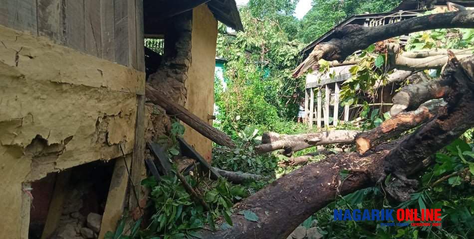 पहिरोले घर पुरिँदा हुम्लामा एकै परिवारका ६ जनाको मृत्यु