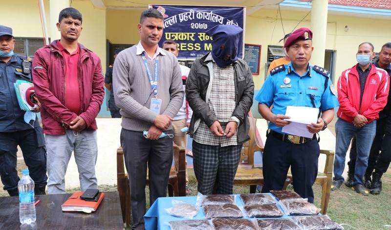 जाजरकोटका शाही  बाँकेमा १० किलो ४ सय ग्राम लागु औषध अफिमसहित पक्राउ