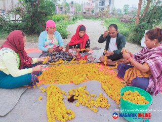 पुष्प व्यवसाय : आठ अर्ब ८३ करोड लगानी, ५३ हजारलाई रोजगारी