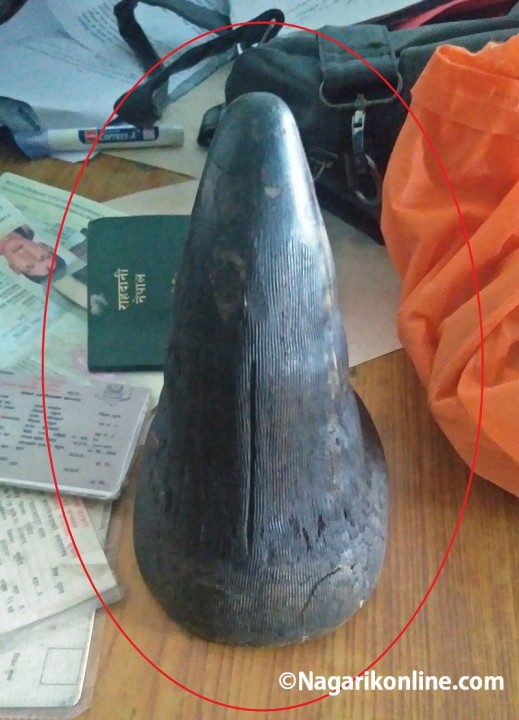 khag gainda.jpg
