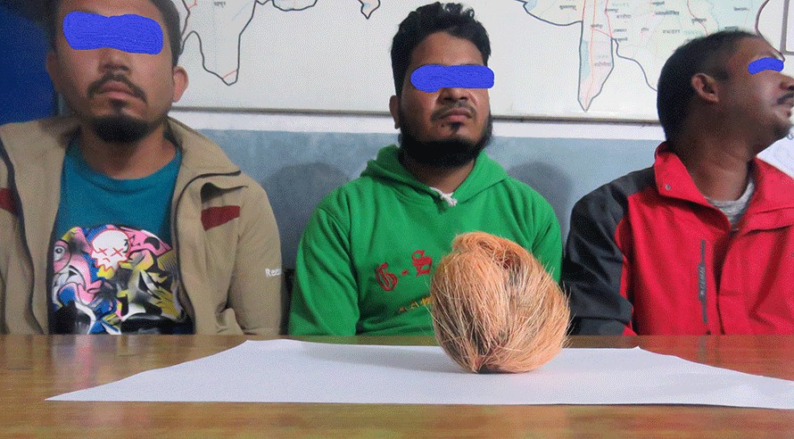 रुपन्देहीबाट कस्तुरीको विणासहित तीनजना पक्राउ
