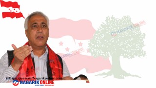 नेपाली कांग्रेस केन्द्रीय सदस्यमा डा.चन्द्र भण्डारीसहित ८ जना मनोनित
