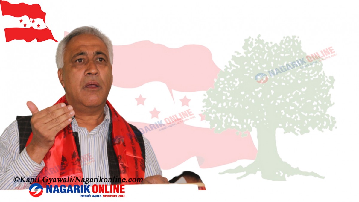 नेपाली कांग्रेस केन्द्रीय सदस्यमा डा.चन्द्र भण्डारीसहित ८ जना मनोनित