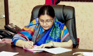 ३ जना प्रदेश प्रमुख पदमुक्त,खापुङ परियार र  जोशी नियुक्त