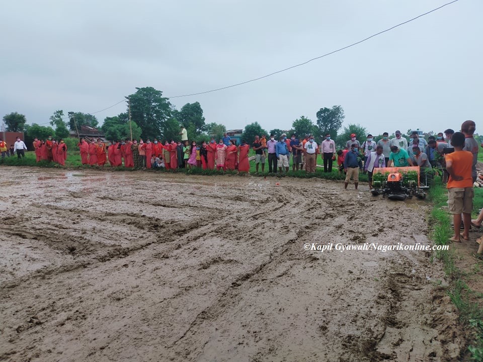 ropain khet.jpg
