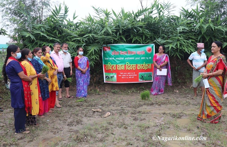 dhan diwas.jpg