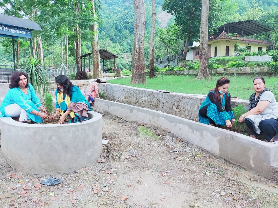 tree plantation.jpg