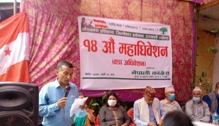 कांग्रेस बुटवल-६ को सभापतिमा तारा प्रसाद ज्ञवाली