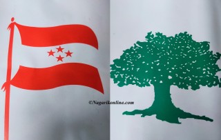 रोल्पामा कांग्रेस अधिवेशन : ७२ मध्ये ६६ वडामा सर्वसम्मत नेतृत्व चयन