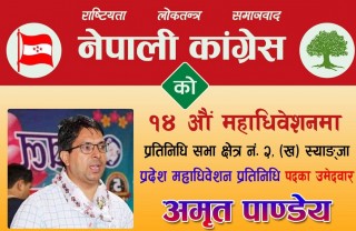अमृत पाण्डेयद्वारा स्याङ्जामा प्रदेश महाधिवेशन प्रतिनिधीमा उम्मेद्वारी घाेषणा