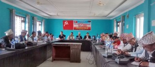 लुम्बिनीमा नेकपा एकीकृत समाजवादीको कार्यविभाजन