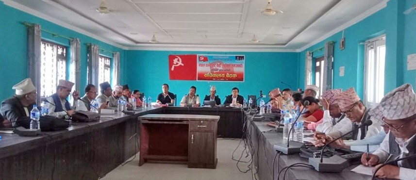 लुम्बिनीमा नेकपा एकीकृत समाजवादीको कार्यविभाजन
