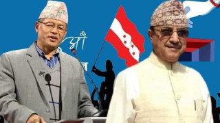 कांग्रेस उपसभापतिमा पूर्णबहादुर खड्का र धनराज गुरुङ विजयी