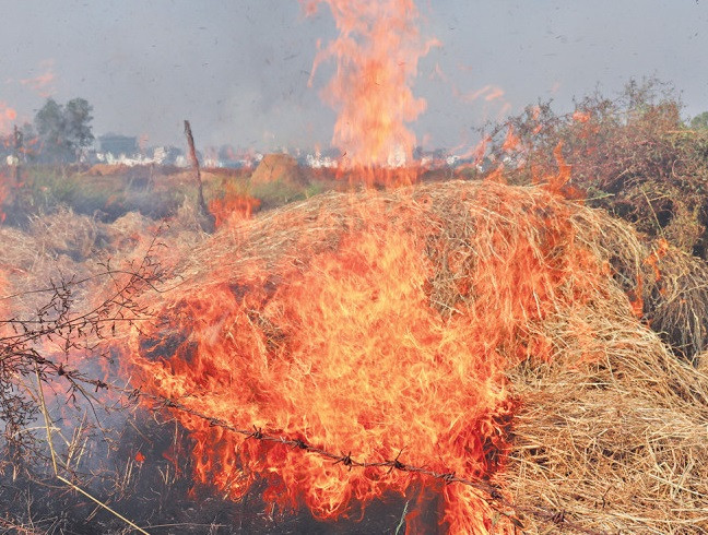 बुटवल बेलभरियामा परालकाे टाैवामा आगलागी,निभाउन खाेज्दा एक जना घाइते