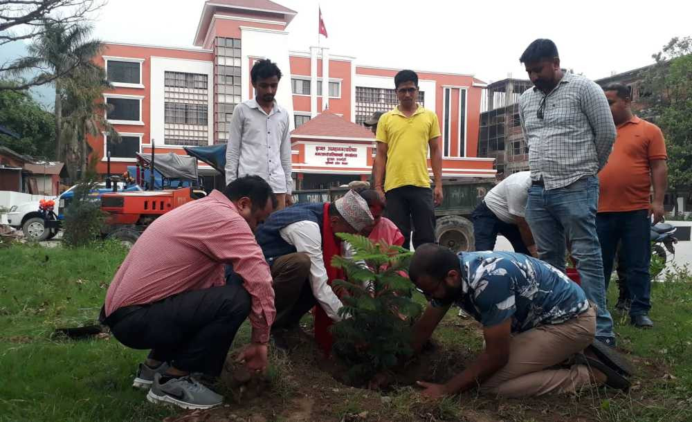 बुटवल उपमहानगरद्वारा ज्याेतिनगर,नयाँगाँउ,शिवनगर र नगरपालिका परिषरमा बृक्षरोपण