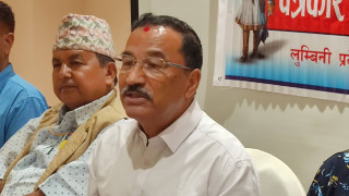 शासकीय स्वरुप र संरचनाको विषयमा पूर्वविचार गर्नुपर्छ : कमल थापा