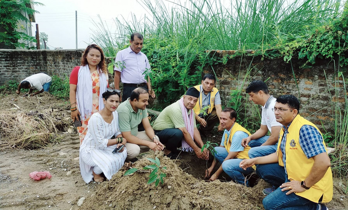 लायन्स क्लव अफ बुटवल सिद्धबाबाद्वारा नयाँगाउँमा बृक्षरोपण