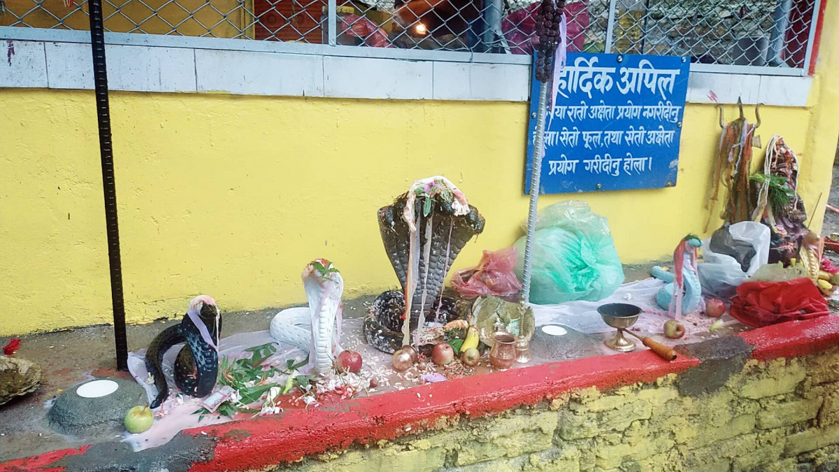 नागपञ्चमी पर्व : आज परम्पराअनुसार नागको पूजा गरी मनाइयो