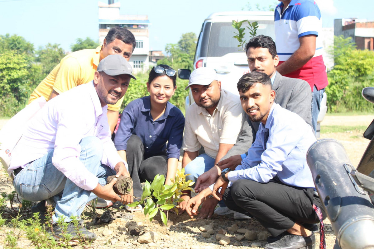 tree plantation.jpg