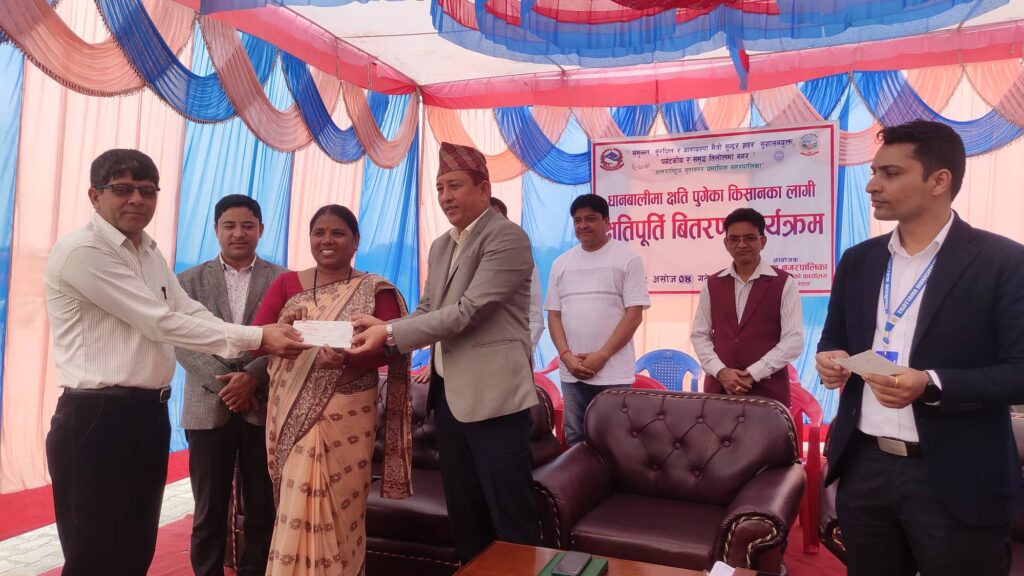 तिलोत्तमाका २ सय ७० किसानले पाए धानबालीको क्षतिपूर्ति रकम