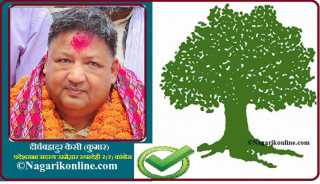 खेलकुदबाट राजनीतिमा कुमार,युवाको साथ जित्ने आधार !