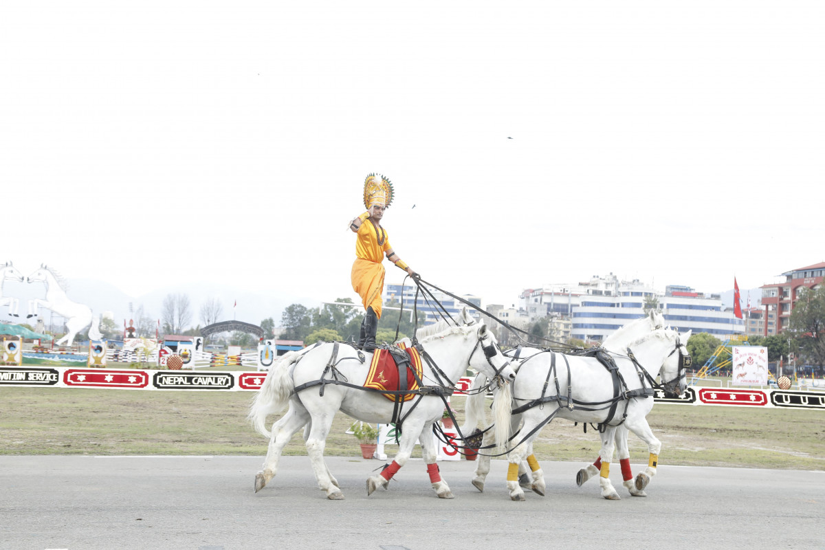 ghode jatra horse sena (4).JPG