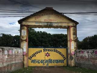 स्ववियु निर्वाचन : महेन्द्र बहुमुखी क्याम्पसमा मतदान जारी