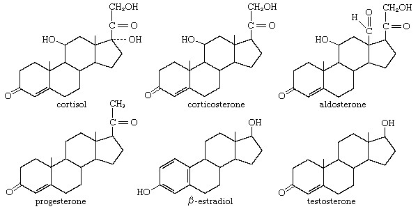 Steroid.png