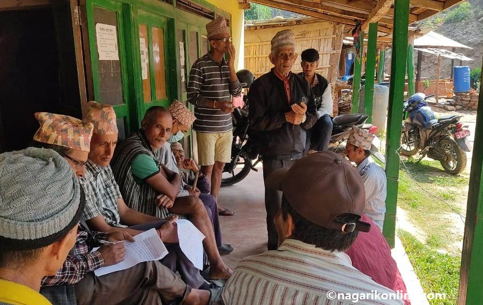 sadak gulmi.jpg