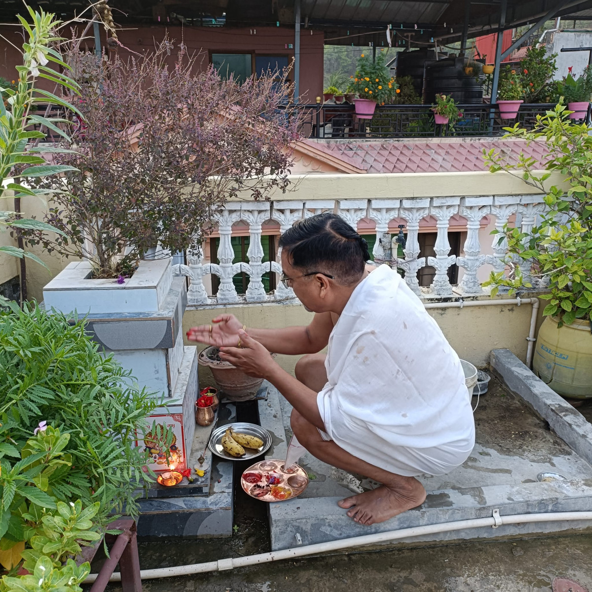 आज निर्जला एकादशी,तुलसीको बीजारोपण गरियो