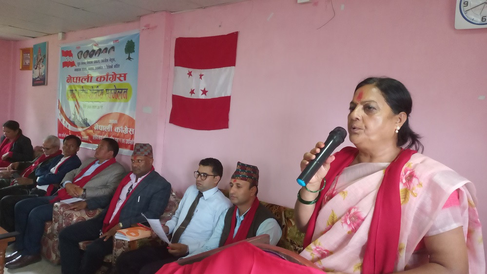 कांग्रेस उपसभापति पुष्पा भुसालको संयोजकत्वमा संविधान संशोधन अध्ययन समिति गठन