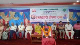 काँग्रेस रुपन्देही क्षेत्र नं. २ : सभापतिमा प्रजापाल र सहसचिवमा चापागाईको उम्मेदवारी घोषणा