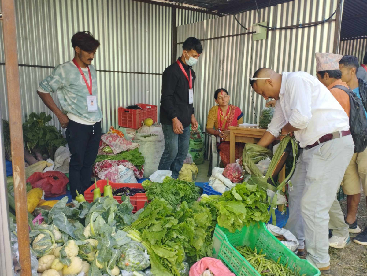 krishni mela.jpg