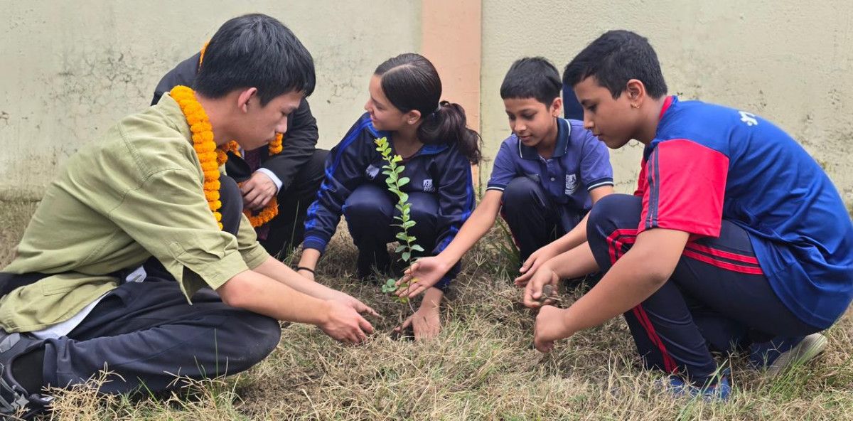 tree plantation.jpg