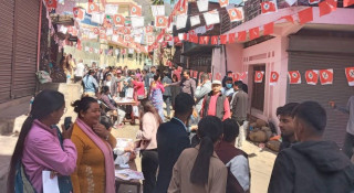 स्याङजाको चार क्याम्पसमा नेविसंघ, एकमा अनेरास्ववियु