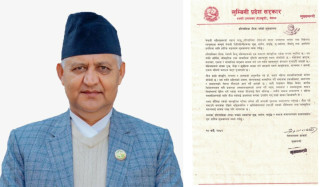 तीजलाई अवसरका रूपमा उपयोग गर्नु हाम्रो साझा जिम्मेवारी :  मुख्यमन्त्री आचार्य
