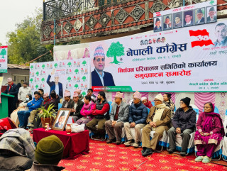 चुन्न जिताउन कांग्रेसले बनायो ८५६५ सदस्यीय निर्वाचन परिचालन समिति,संयोजकमा गिरी
