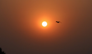 आजदेखि विसं २०८३ प्रारम्भ