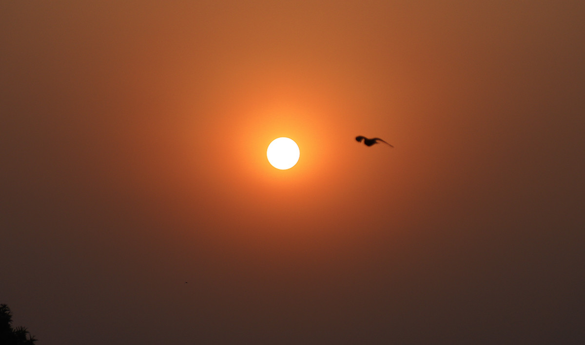 आजदेखि विसं २०८३ प्रारम्भ