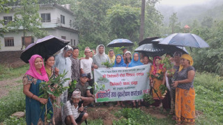 जितेश्वरी टोलद्वारा  विद्यालय परिसरमा सरसफाई तथा वृक्षारोपण
