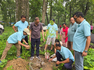 श्रमज्योति क्लबद्वारा  बुटवल ७ स्थित शिवनगर सामुदायिक वनमा बृक्षरोपण