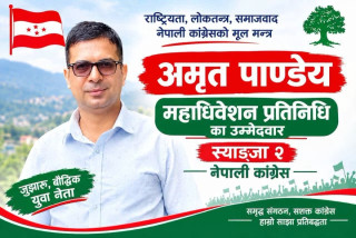 स्याङ्जा–२ बाट महाधिवेशन प्रतिनिधिमा अमृत पाण्डेयद्वारा उम्मेदवारी घोषणा